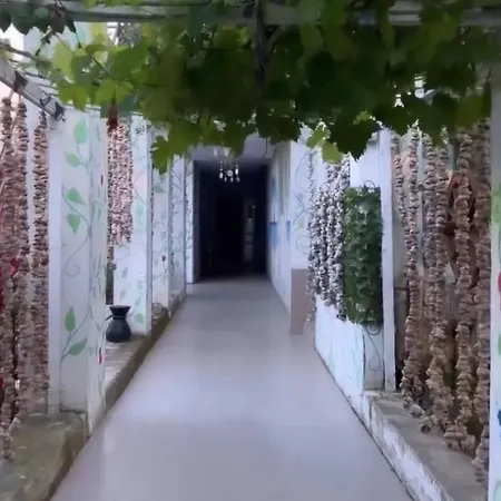 Born By The Sea Gæstehus 3*